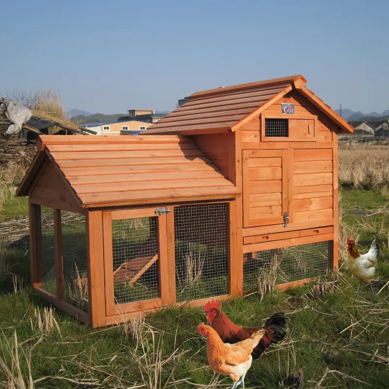 China OEM-Fabrik wasserdicht im Freien großer hölzerner Hühnerkoffer Hühnerkäfig kleines Haustierhaus mit Drahtzaun