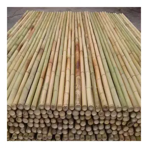 Großhandel Landwirtschaft getrocknet grün gelb dicke Bambus Pfahl stangen lange Bambus stock für den Bau