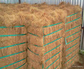 Fibra de Coco 100% Natural Ecológica de Alta Calidad, Seca, de 6-20 cm, 100% Pura y Natural para Agricultura, Marca GWE, 48x30x18 pulgadas - Product Image 2