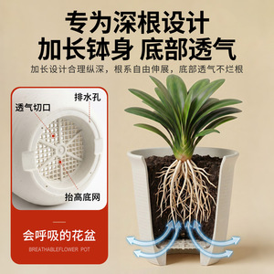 Pot de fleurs en plastique épaissi Airi Shield, jardinière moderne en résine émaillée avec soucoupe pour balcon et maison - Product Image 4