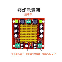 XH-M544 Mono 150W carte amplificateur de puissance numérique TPA3116DA 12-26V montage à souder fabriqué en Chine