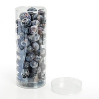 Emballage alimentaire pour animaux de compagnie personnalisable, conteneur à fruits, petite boîte cylindrique en plastique transparent, emballage pour bleuets