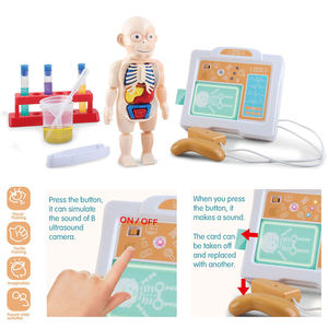 En gros Personnalisé Enfants Scientifique Biologie Physique Éducation Simulé Anatomie Infirmière Figure Médecin Humain Jouets pour Enfants - Product Image 5