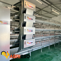Nouveau système de cages automatiques multi-niveaux de type H, équipement complet d'élevage de volailles, en acier galvanisé à chaud, pour l'alimentation et l'abreuvement