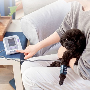 Veterinary Electronic <strong>Sphygmomanometer</strong> Blood Pressure Monitor for Veterinary Monitoring Devices - Product Image 6