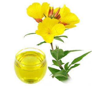 Complément alimentaire d'usine Richtek Huile d'onagre pure, meilleur <span class=keywords><strong>prix</strong></span>, extrait d'huile d'onagre pour l'alimentation santé - Product Image 4