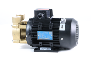 Bomba de Agua Horizontal de Alta Eficiencia y Confiabilidad para Entornos Exigentes, Trifásica, 380V, 20 Bar, 1 Año de Garantía - Product Image 2