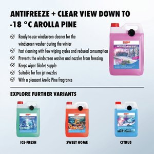 Liquide lave-glace pour voiture professionnel, longue durée, anti-gel + vision claire, Bis -18 degrés Celsius, Zirbe (5 litres) - Product Image 2