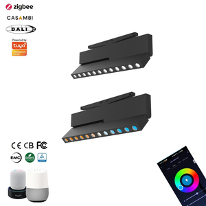 <span class=keywords><strong>Rail</strong></span> lumineux magnétique de haute qualité 10 mm, spots LED sur <span class=keywords><strong>rail</strong></span> réglables Tuya RGBW, éclairage sur <span class=keywords><strong>rail</strong></span> moderne à intensité variable pour salon - Product Image 1