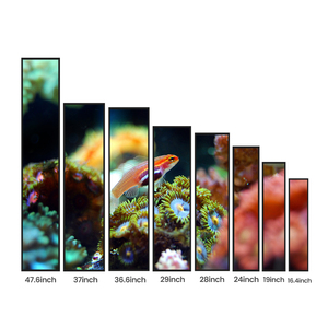 Schermo LCD Pubblicitario da 16,4 Pollici, <span class=keywords><strong>Display</strong></span> Video a Parete, Schermo LCD Allungabile per Pubblicità in Supermercato - Product Image 2