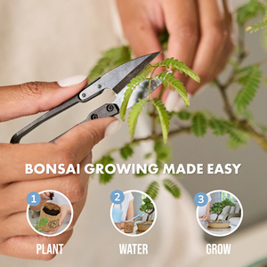 Kit de culture Bosai Garden Grow Kit Republic Jnr, kit de démarrage pour décorer et planter, ensemble d'art de jardinage DIY pour enfants - Product Image 3