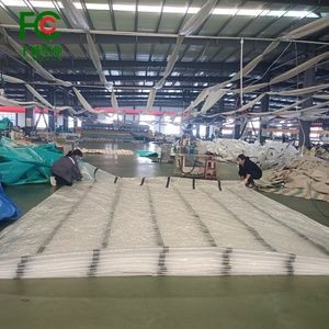 Film plastique de bâche de serre PE tissé renforcé traité aux UV pour une protection durable des fraises en milieu agricole - Product Image 2