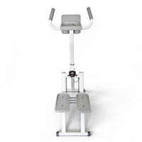 Mini stepper de gym à domicile, cadre en acier, pédale antidérapante, compteur LCD, équipement de fitness pour les jambes et les fessiers, portable, faible MOQ, OEM