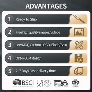 5-مجموعة دمشقية يابانية احترافية عالية الجودة مع مقبض خشب Pakka ODM OEM - Product Image 6