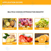 Machine à jus industrielle, extracteur de jus de fruits avec séparation du jus et des marcottes, machine d'extraction de jus pour les usines de jus de fruits