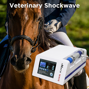 Portable Physical Therapy Vet Use Pain Relift Shockwave Therapy Machine for Erectile Dysfunction - Product Image 3