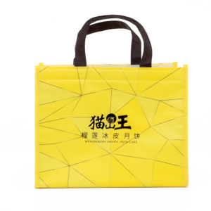 <b>Hot</b> Sale Cake Cooler Bag Insulated Bag for Takeout Thermal Bag - Product Image 2