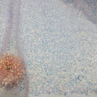 Conception populaire cristal Multi couleurs tissu broderie Sequin tissu sur mesure Sequin tissu pour déguisement