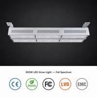 Lampes de culture LED hydroponiques pour serres, 300 W, spectre complet personnalisé LM301B, étanches IP68, pour la culture de tomates