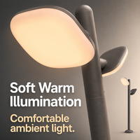 Lampadaire architectural LED à double tête 20W IP65 étanche en aluminium pour aménagement extérieur, cour, complexe hôtelier, allée