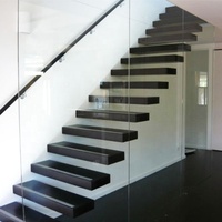 DAIYA 304 Acier inoxydable Garde-corps d'intérieur Balustrade Escalier en verre Escalier escamotable pour grenier avec main courante