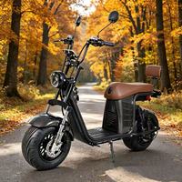 Bicicleta de Turismo de Alta Gama con Llantas Anchas, Manubrio Elevado, Distancia Entre Ejes de 1000W, Motor de 1000W, Batería de Litio, Capacidad de 200 kg