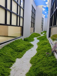 25g/30g/50g/100g/500g künstliches Moos gras Kunststoff-Kunstrasen für die Büro dekoration Garten innenraum dekoration - Product Image 3