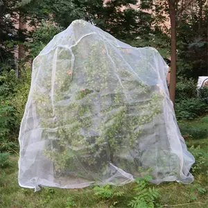 Listo para enviar 25*25*60 pulgadas Citrus Tree Nets Insect Net Cover & Tree Sleeve para proteger la fruta Tress contra insectos Anti viento