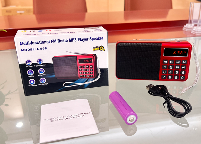 Dewant L-668 Portable Digital Dual Band Mobile Radio FM with BT/USB/TF