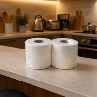 Papier toilette en rouleau jumbo en pâte de bois vierge, 2/3 plis, dissolvable, pour hôtel, toilettes publiques, logo OEM