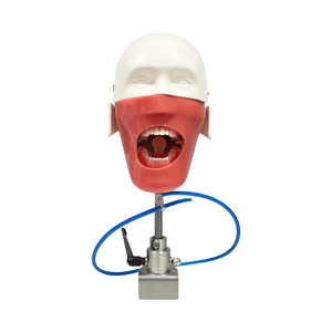 Modelo de Cabeza de Maniquí Dental para Entrenamiento, Simulador Dental con Dientes para Prácticas de Enseñanza y Estudio, Equipo de Odontología - Product Image 4