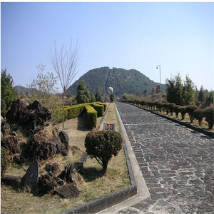 <span class=keywords><strong>Piedra</strong></span> <span class=keywords><strong>pómez</strong></span> natural <span class=keywords><strong>piedra</strong></span> de Lava <span class=keywords><strong>para</strong></span> plantas <span class=keywords><strong>suculentas</strong></span> - Product Image 6