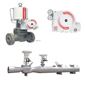 Reducing&Desuperheating Station <b>With</b> Mark One <b>Control</b> Valtek Actuator and 3200MD Logix Reducing & Desuperheating - Product Image 1