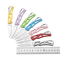 WELLFLYER POKN-074 porte-clés couteau de poche pliant Mini couteaux à fruits de transport en acier inoxydable couteau pliant multifonctionnel