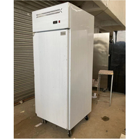Congelador Comercial de Doble Puerta Flishel de Acero Inoxidable, 500L, -18°C, Condensador de Cobre, Enfriamiento Estático y Dinámico, Compresor Aspera, CE