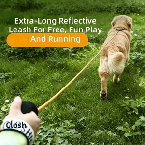 Wholesale Outdoor Nylon Solid Pet <b>Rope</b> Leash for Dogs Custom Logo Luxury Simple Style <b>Light</b> Walking Training 5m Size - Product Image 3