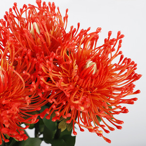 Grandes fleurs artificielles en plastique rouge foncé à grandes têtes, haute simulation, pour décoration intérieure et accessoires de mariage - Product Image 2