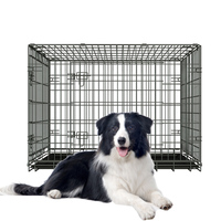 24 "36" 42 "48" cage pour animaux de compagnie en acier inoxydable extra XL grande cage pour chiens solide en métal fer grande taille pliable robuste