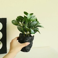 Petit arbre de simulation bonsaï ornement de bureau artificiel en pot intérieur décoratif plantes vertes artificielles VP-HL014