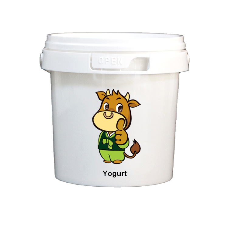 Ruly customized logo printing 500ML round Plastic Ice Cream Bucket for food packing