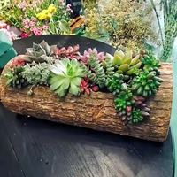 Dekorasi Rumah Kreatif Pot Bunga Kayu Solid Ukiran Tangan Bergaya Rustic untuk Tanaman Sukulen