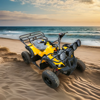 Quad électrique 48V de haute qualité pour enfants et adultes, fabriqué en Chine, tout-terrain, pour la plage