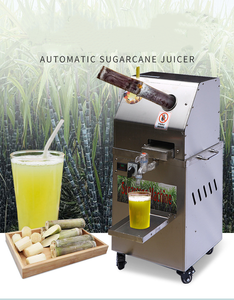 Extractor de Jugo de Caña de Azúcar de Acero Inoxidable a Bajo Precio con Motor de 450W, Portátil y Fácil de Operar para Uso Agrícola - Product Image 6