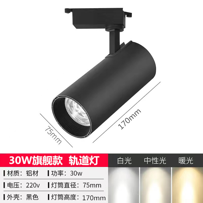 30W flagship model, black casing (three-wire)