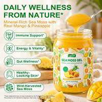 Lenm Private Label Voedingsmiddelkwaliteit Oceaan Superfood Mango Ananas Smaak Wildgeplukt Ierse Zeealg Gel voor Energie en Vitaliteit Ondersteuning