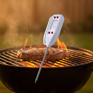 Thermomètre numérique LCD classique SW 2025 alimenté par USB pour la viande, les bonbons, la cuisine, le barbecue, thermomètre intelligent pour la maison - Product Image 1