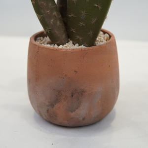 Garniture d'intérieur multi-<span class=keywords><strong>cactus</strong></span> artificiel en pot en <span class=keywords><strong>terre</strong></span> cuite nouveau design en gros - Product Image 5