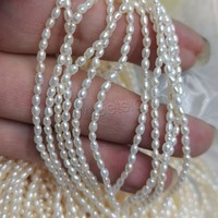 Perles de culture d'eau douce en riz blanc DIY, différentes tailles au choix, longueur : environ 15 pouces 1529244