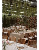 Plus Design extérieur Nature Couleur rotin osier Fête Événement Prix Bon marché Chaise de jardin pliante en bambou pour banquet et repas pour mariage