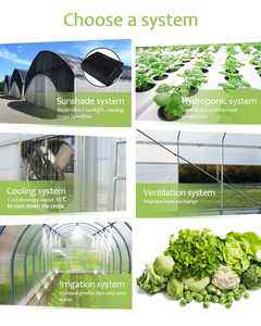 Fabricantes profesionales de fácil instalación Invernaderos de 8mm Invernadero de producción de vegetales comerciales - Product Image 5